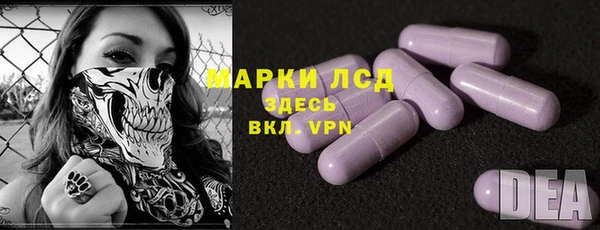 гашик Алексин